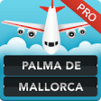 Icon of program: FLIGHTS Palma de Mallorca…