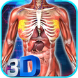 Icon of program: Female Anatomy 3D : Femal…