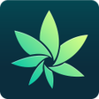 Icono de programa: HiGrade - Mobile Cannabis…