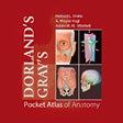 Icon of program: Pocket Atlas of Anatomy T…