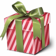 BS-Christmas icon