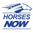 Icon of program: Horse Races Now