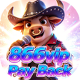 Icono de programa: 866vipPayl Back
