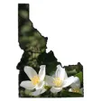 Icon of program: Idaho Wildflower Search