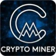 Icon of program: Crypto Miner