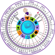 Icon of program: Pregnancy Wheel
