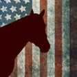 Icon of program: Barrel Horse World Stalli…
