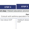 Icon of program: STAT Asthma NHLBI Guideli…