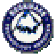 Icono de programa: NTS File Protector