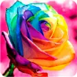 Icon of program: Colored Roses to Fall in …