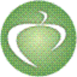 Icon of program: Zaitun Time Series