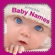 Icon of program: Baby Names by Winkpass