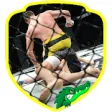 Icon of program: MMA Fighting Techniques (…