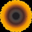 Icon of program: Sunflower for Science