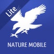 Icono de programa: iKnow Birds 2 PRO - The F…