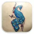 Icon of program: Peacock Tattoo Designs