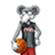 Icon of program: Gym Rats Basketball