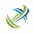 Drongscreen icon