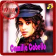 Icon of program: Camila Cabello - Liar Son…