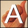 Icon of program: Alphabet Sign Language FR…