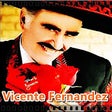 Vicente Fernandez - Canciones icon