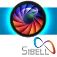 Icon of program: Sibell Mobile