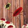 Icon of program: Beetle Thief