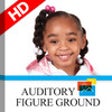 Icon of program: Auditory Figure Ground AF…