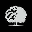 Icon of program: The Callaway Bank Busines…