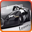 Icon of program: Luxury Car Driving Simula…
