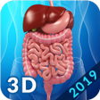 Icon of program: Digestive System Anatomy