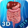 Icon of program: Digestive System Anatomy
