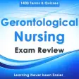 Icon of program: Gerontological Nursing : …