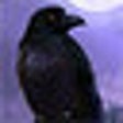 Icon of program: Mystery Case Files: Escap…