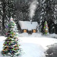 Icon of program: Zen Of Snow