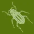 Icon of program: Aqua Bugs
