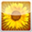 Icon of program: Plastiliq Image Resizer