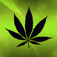 Icon of program: Falling Weed Live Wallpap…