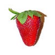 Icon of program: Food Inventory