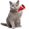 Icon of program: Real Cat Sounds for Windo…