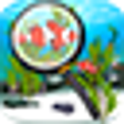 Icon of program: Find The Hidden Fish