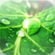 Icon of program: Plant Collection