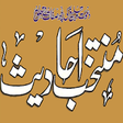 Icon of program: Muntakhab Ahadith Urdu Pd…