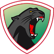 Icon of program: Jaguar Free VPN