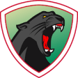 Icon of program: Jaguar Free VPN