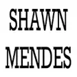 Icon of program: Shawn Mendes Newsongs
