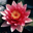 Icon of program: ImageOpen