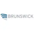 Icon of program: Brunswick IR