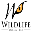 Icon of program: Volunteer Wildlife