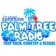 Icon of program: Palm Tree Radio